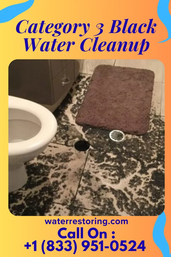 Category 3 Black Water Cleanup in Kalama, WA