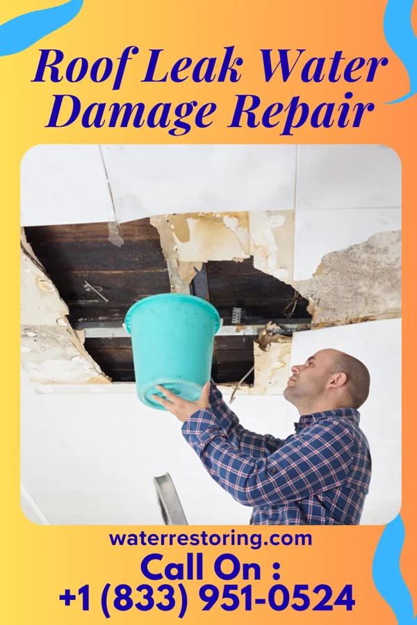 Roof Leak Water Damage Repair in Kalama, WA