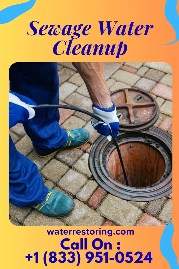 Sewage Water Cleanup in Kalama, WA
